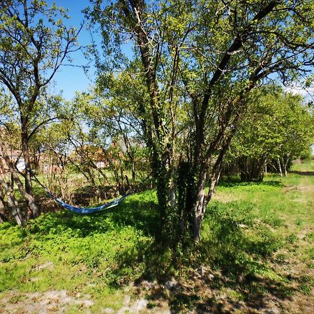 Huus An'T Doerpsdiek Krummhörn Exterior foto